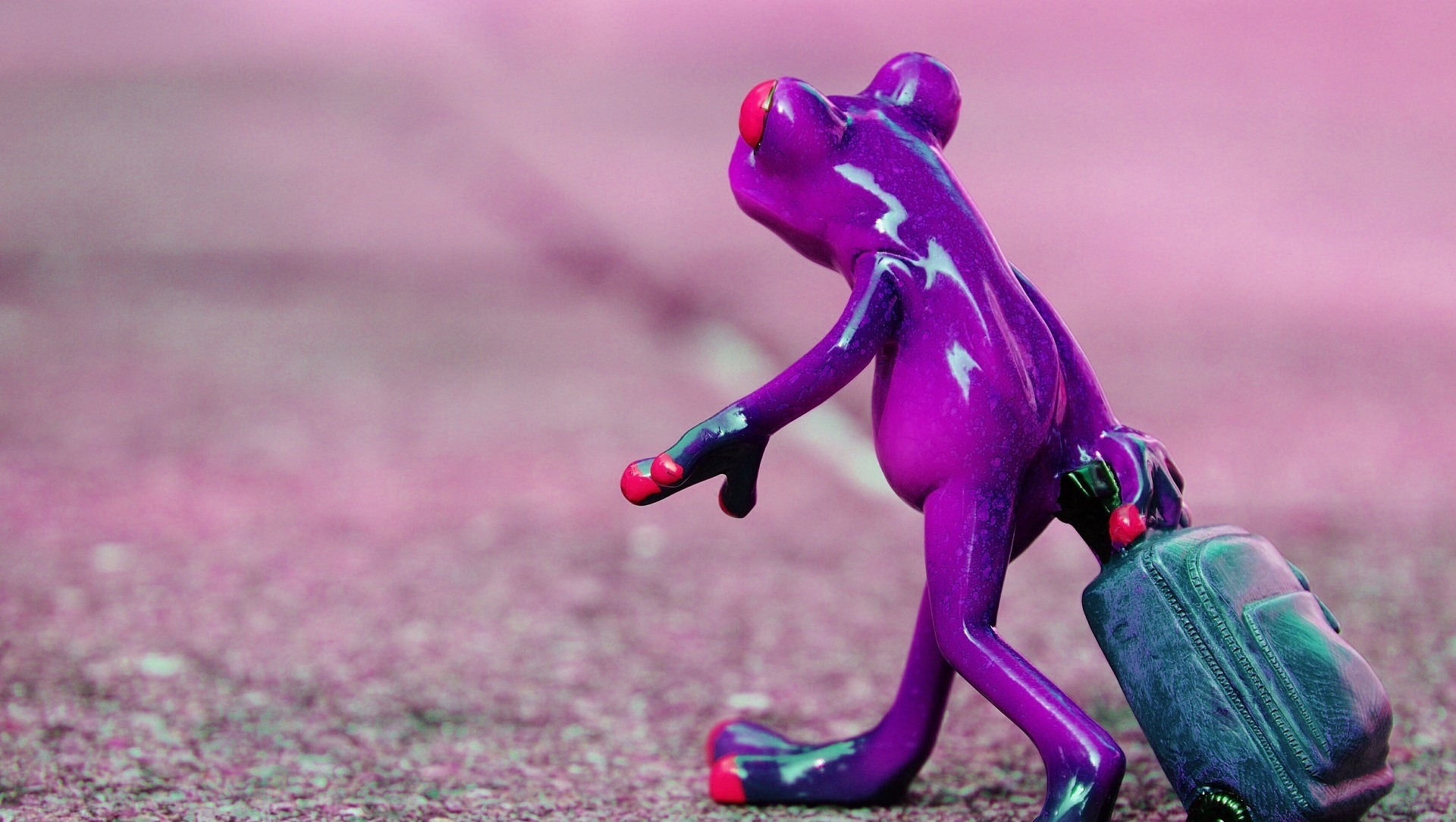 Purple frog dragging suitcase